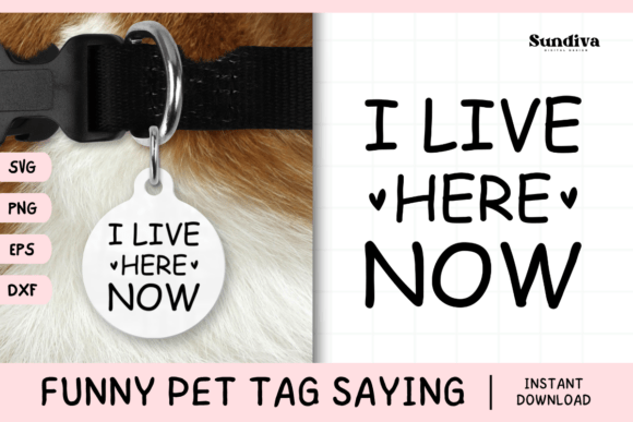 Funny Pet Tag Saying SVG 34 for Crafts and Graphics